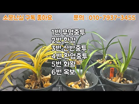 유튜브 썸네일