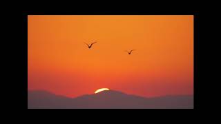 Big Wild - Empty Room (feat. Yuna) (Cabu remix)