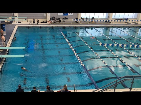 2022 NCAA Division III Region 4 Diving Championships Day 2