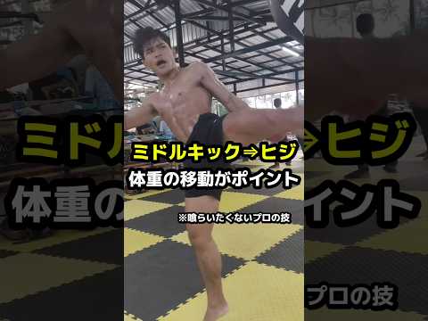 ムエタイのコンビネーション！プロのテクニック #ムエタイ #格闘技 #キック