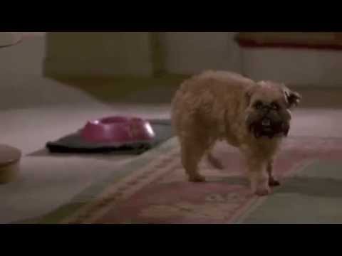 As Good as it Gets - Verdell "Over a Dog"