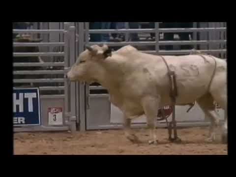 Adriano Moraes vs Katydid - 94 PBR Finals (82.5 pts)