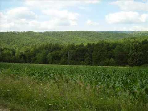 FRUNDZA VIERĐE ŞÎ ĐE NUC- Mileva Škoprdić