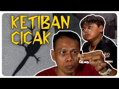 BOGANG KETIBAN CICAK PERTANDA APA l KETIBAN CICAK l BAKAR EPS 323 l BALADA KAMPUNG RIWIL