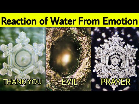 Shape of Water | Masaru Emoto's Water Experiment | Hidden Messages in Water | Hindi