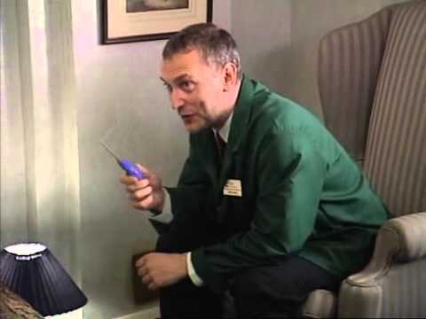 Tell me about the Ladyboys