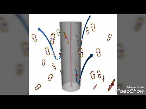 Stephen Hawkings theory of black hole explained