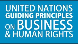 The UN Guiding Principles on Business and Human Rights: An Introduction