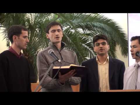 O frunte însângerată - Adverum