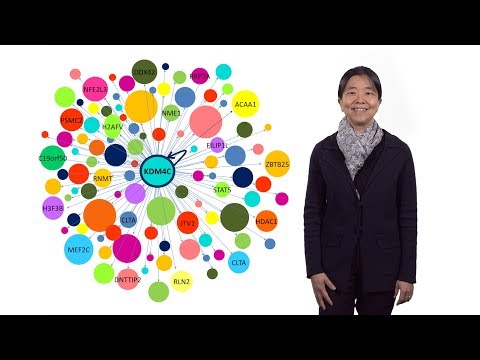 image-What are the 3 types of genetic variation?