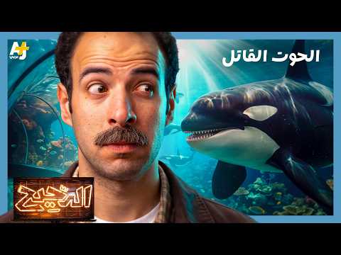 الدحيح | انتقام الحوت القاتل
