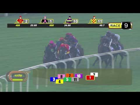 Lion City Cup 2017 (Lim's Cruiser)