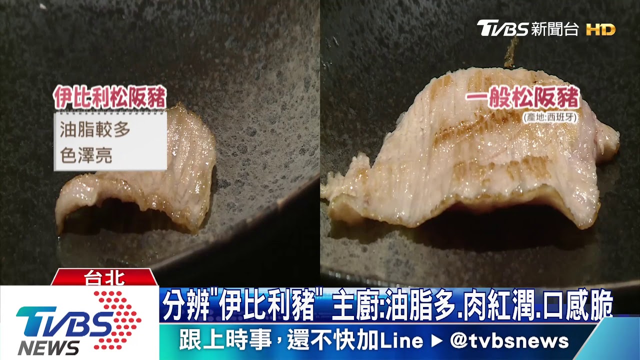 分辨「伊比利豬」 主廚:油脂多、肉紅潤、口感脆