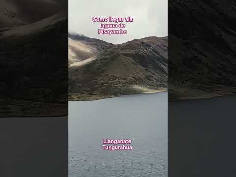 12 de octubre de 2025