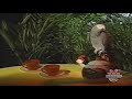 Sesame Street A Parrot Counts 2 1993