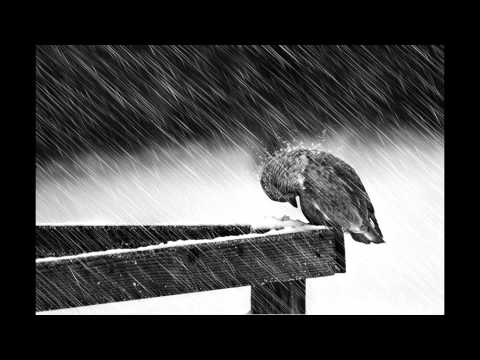 Aguantando La Tormenta - Kratos & Kinky ElPutoGallego