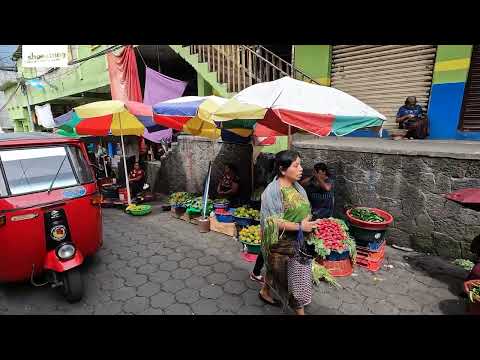 Sfeerimpressie (film), Paola