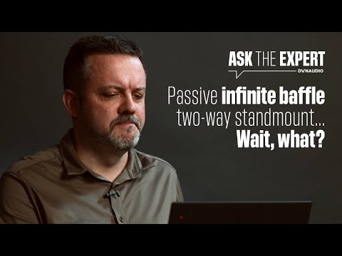 Infinite baffle speaker - why don't we make one?