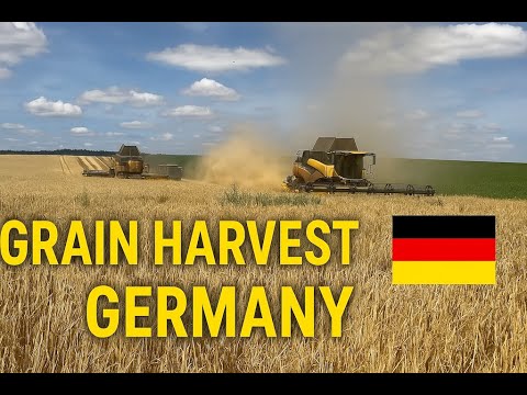 What's it like to harvest grain in Germany?