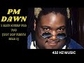 PM Dawn - I Hate Myself For You "432HZ" (Alternate Version)