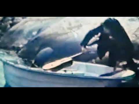 Björn Olsson - Karlssons på Tjörn AB