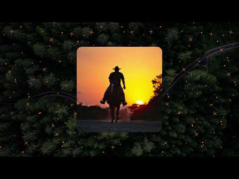 zé vaqueiro - volta comigo bb (slowed +reverb)