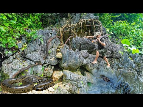 🌧️ 3 Days SOLO Camping with a GIANT PYTHON! 🐍 Building a Suspended Shelter with Plastic Wrap! 🏕️