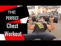 The PERFECT Chest Workout