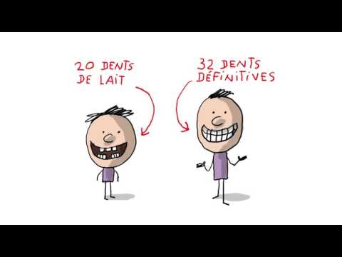 A quoi ça sert de se laver les dents ? - 1 jour, 1 question