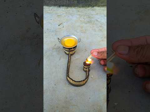 Make Egg Boiled Omelete. Episode 567 #shorts #viral