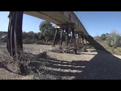 Irish creek banshee try out