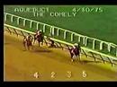 Ruffian - 1975 Comely Stakes