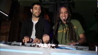 Sultan & Ned Shepard - Live @ EDC 2013 Electric Daisy Carnival (New York) - 18-05-2013