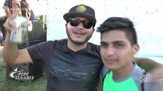 pepe linares  el pajarillo