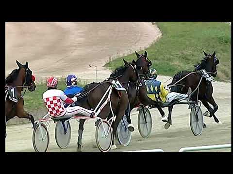 Napoli Trotto 12/03/2021 - 7ª corsa