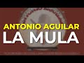 Antonio Aguilar - La Mula (Audio Oficial)