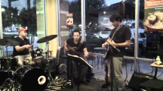 Chicken Feathers, 8 20 12