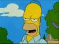 Homer Simpson-uiuaa 