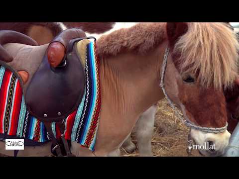 Jappeloup Pierre Durand Babelio