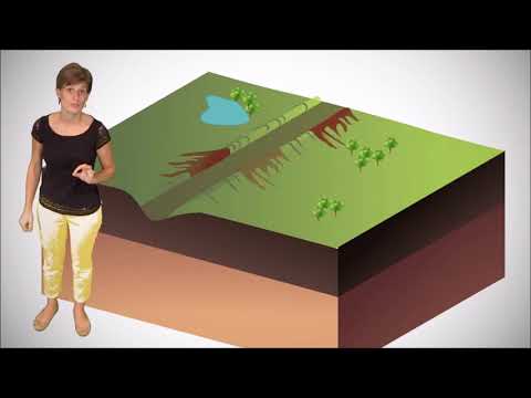 Fosses océanique, dorsales océaniques et déplacement des plaques.