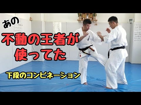 【極真の不動明王】城南支部のみんなが使ってた下段廻し蹴りのコンビネーションなど