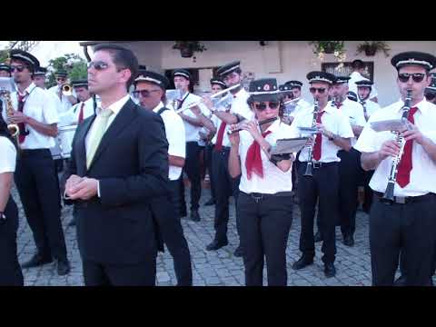 Banda Musical de Fajões (Maestro: Bruno Costa) Marcha HOMENAGEM A ANTONIO MILHEIRO de João Milheiro