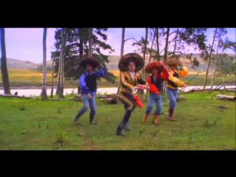 Spanish Fever - Chixdiggit!