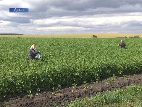 НЕМАТОДУ ПОБЕДИЛИ. Принт ТВ 29.09.2020.