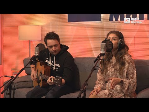 SAŠA LEŠNJEK - V drobnih stvareh