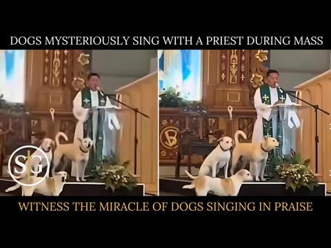 Dogs Sing With A Priest During Mass