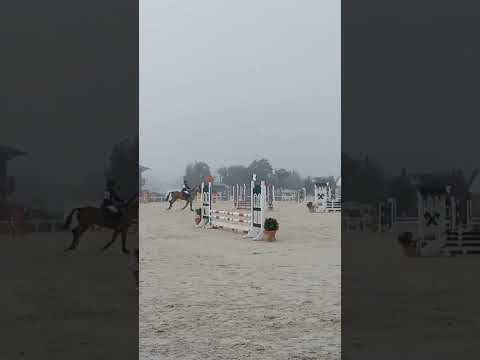 saltone🚀🚀🚀🚀