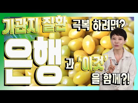 , title : '오래된 기침을 진정시키는 명약 '은행'의 활용법?! - 자연음식#16'