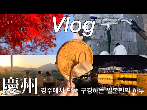 [vlog/자막] Gyeongju pode ser alcançada em cerca de 50 minutos de Busan! Viagem de bicicleta para Gyeongju com amigos coreanos