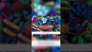 Download lagu Unlocking Genetic Potential  E  Coli Breakthrough! 🧬 mp3